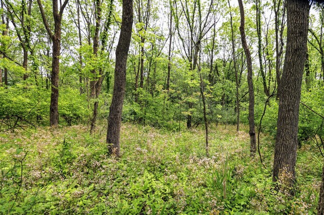 VL Doster Rd Lot # Wp001, Plainwell, MI 49080 - photo 14