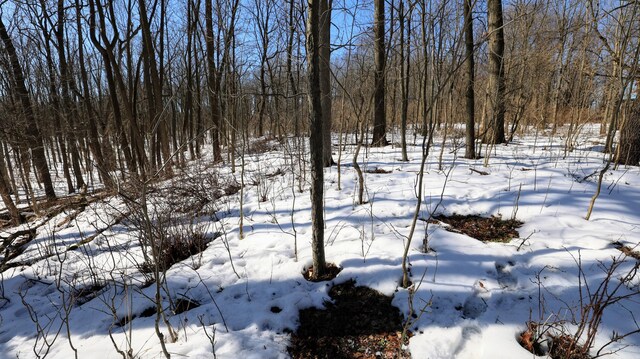 VL Doster Rd Lot # Wp001, Plainwell, MI 49080 - photo 15