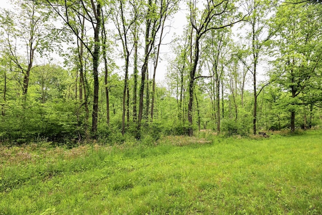 VL Doster Rd Lot # Wp001, Plainwell, MI 49080 - photo 16