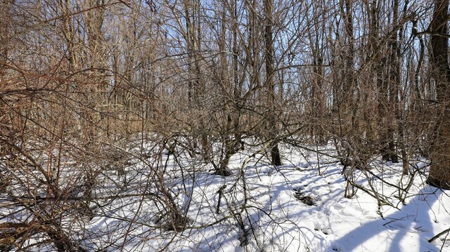 VL Doster Rd Lot # Wp001, Plainwell, MI 49080 - photo 17