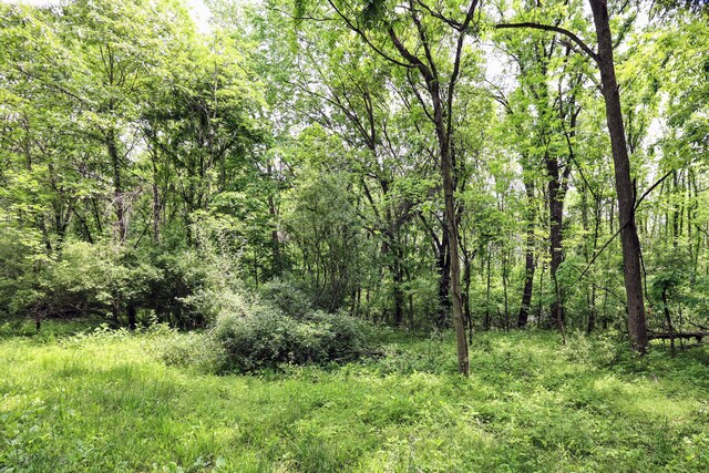 VL Doster Rd Lot # Wp001, Plainwell, MI 49080 - photo 18