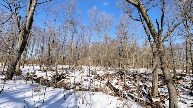 VL Doster Rd Lot # Wp001, Plainwell, MI 49080 - photo 19