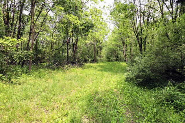 VL Doster Rd Lot # Wp001, Plainwell, MI 49080 - photo 20