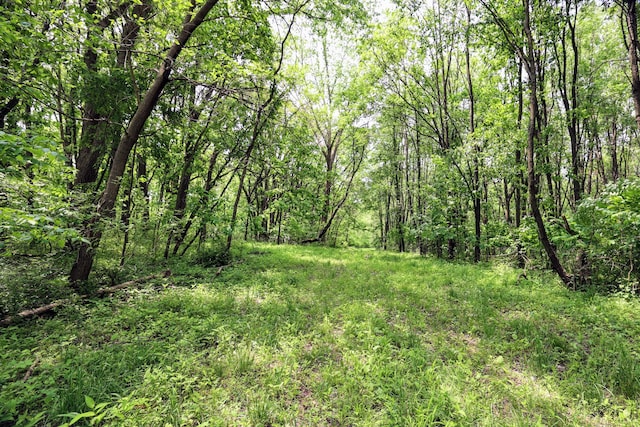 VL Doster Rd Lot # Wp001, Plainwell, MI 49080 - photo 22
