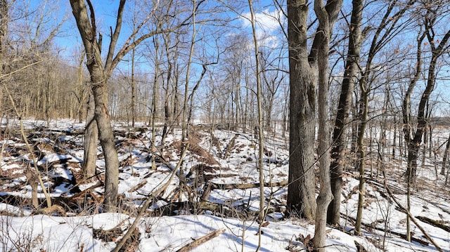 VL Doster Rd Lot # Wp001, Plainwell, MI 49080 - photo 23