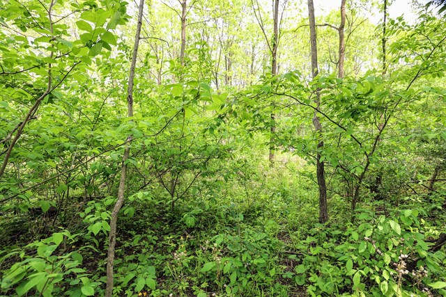 VL Doster Rd Lot # Wp001, Plainwell, MI 49080 - photo 24