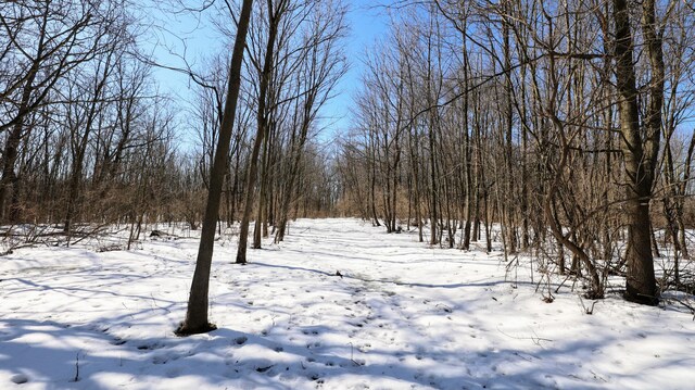 VL Doster Rd Lot # Wp001, Plainwell, MI 49080 - photo 25
