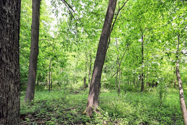 VL Doster Rd Lot # Wp001, Plainwell, MI 49080 - photo 26