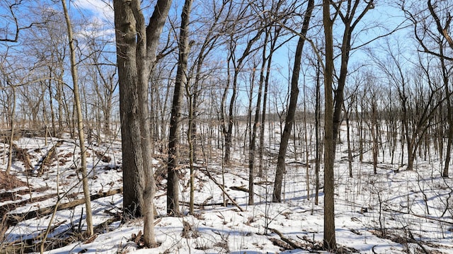 VL Doster Rd Lot # Wp001, Plainwell, MI 49080 - photo 27