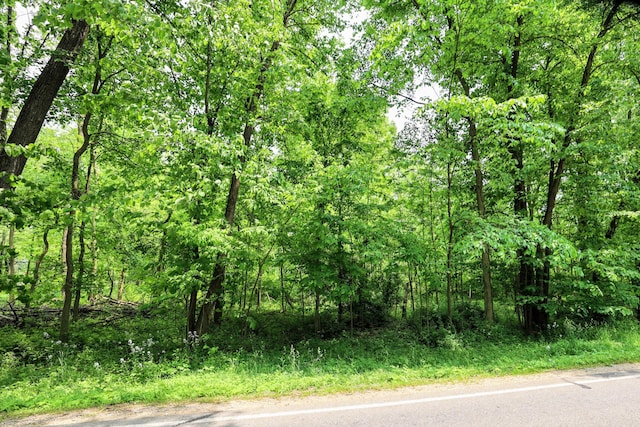VL Doster Rd Lot # Wp001, Plainwell, MI 49080 - photo 28