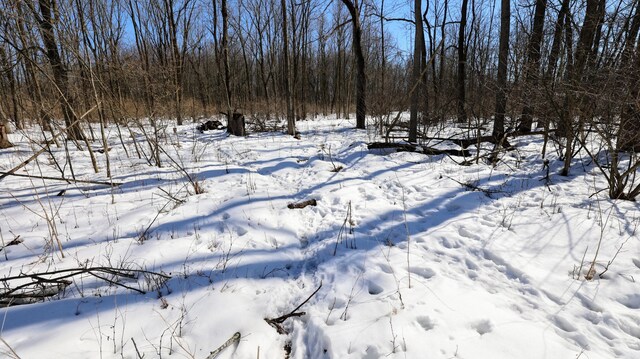 VL Doster Rd Lot # Wp001, Plainwell, MI 49080 - photo 29