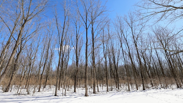 VL Doster Rd Lot # Wp001, Plainwell, MI 49080 - photo 30