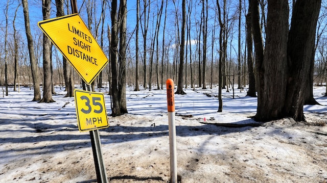 VL Doster Rd Lot # Wp001, Plainwell, MI 49080 - photo 31