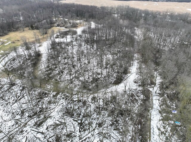 VL Doster Rd Lot # Wp001, Plainwell, MI 49080 - photo 32
