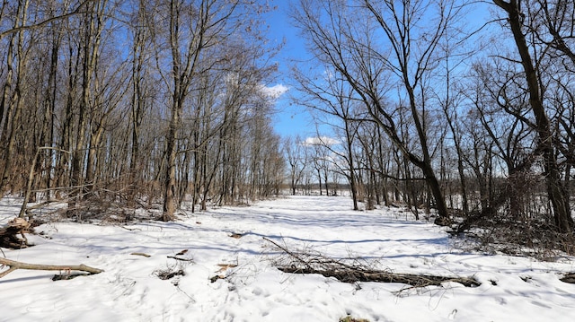 VL Doster Rd Lot # Wp001, Plainwell, MI 49080 - photo 33