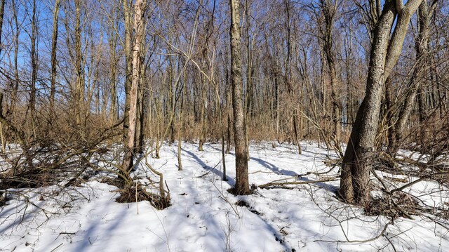 VL Doster Rd Lot # Wp001, Plainwell, MI 49080 - photo 35