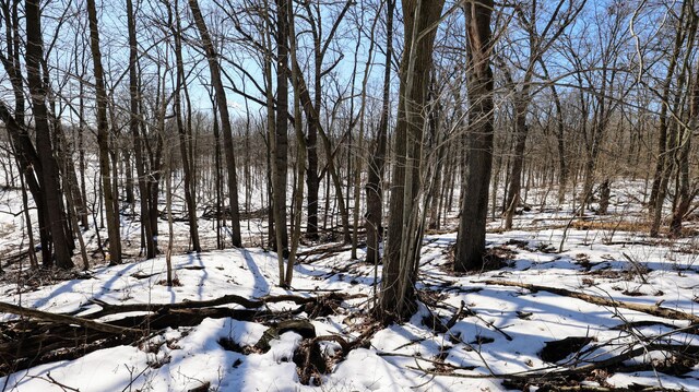 VL Doster Rd Lot # Wp001, Plainwell, MI 49080 - photo 37