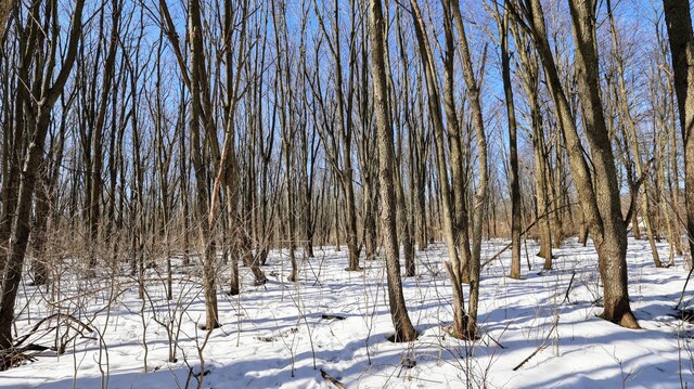VL Doster Rd Lot # Wp001, Plainwell, MI 49080 - photo 38