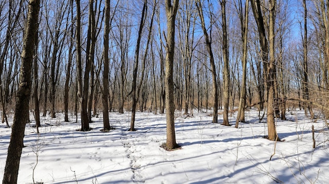 VL Doster Rd Lot # Wp001, Plainwell, MI 49080 - photo 40