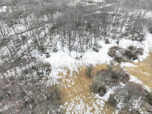VL Doster Rd Lot # Wp001, Plainwell, MI 49080 - photo 41