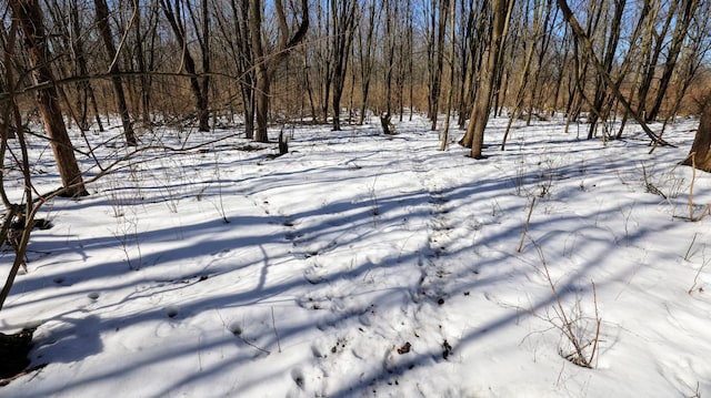 VL Doster Rd Lot # Wp001, Plainwell, MI 49080 - photo 42