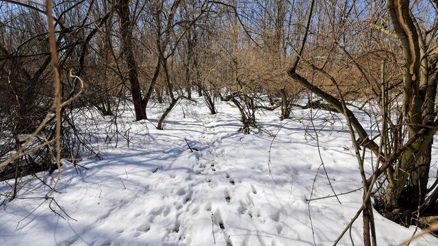 VL Doster Rd Lot # Wp001, Plainwell, MI 49080 - photo 43