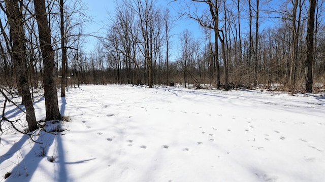 VL Doster Rd Lot # Wp001, Plainwell, MI 49080 - photo 44