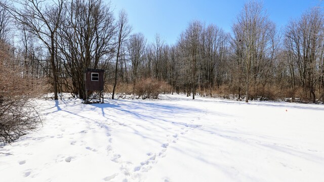 VL Doster Rd Lot # Wp001, Plainwell, MI 49080 - photo 46