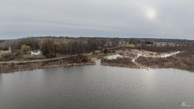 6162 Fuller Rd, Greenville, MI 48838 - property view of water