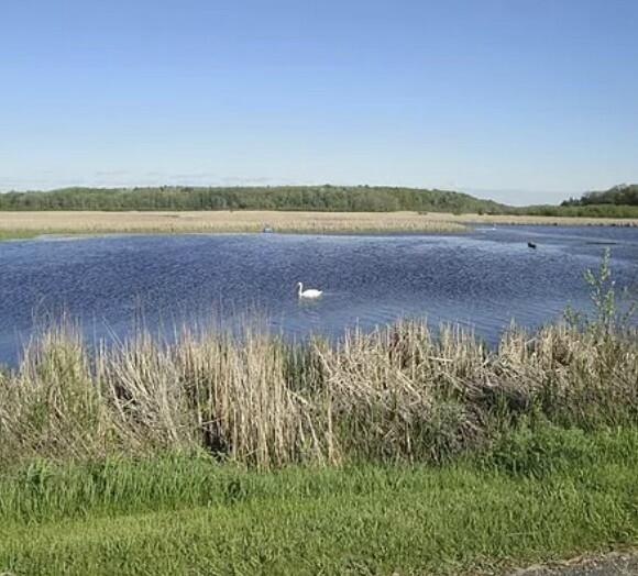 Longbridge, Pentwater, MI 49449 - photo 4