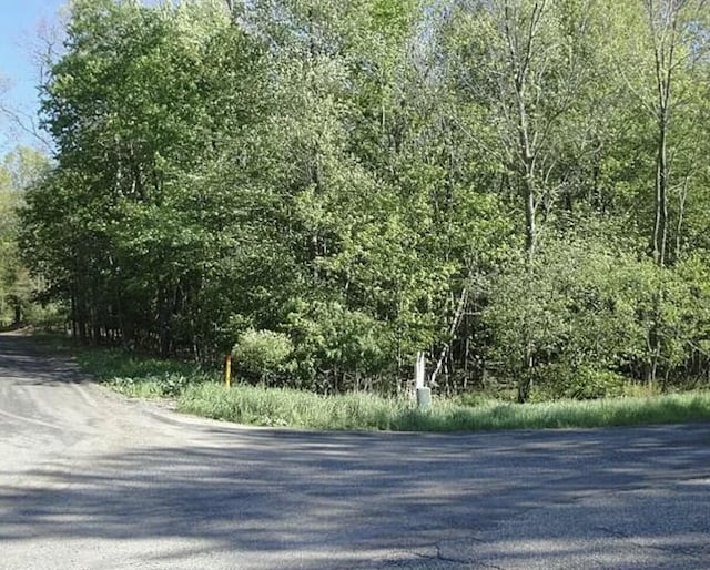 Longbridge, Pentwater, MI 49449 - photo 2