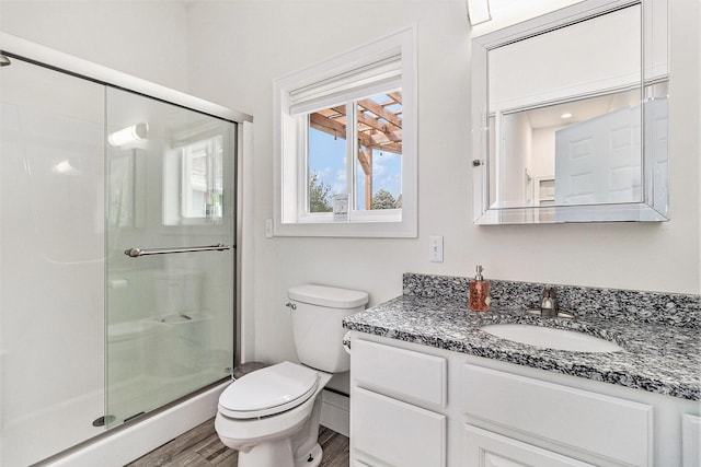 1641 N Arrowhead Rd, Mears, MI 49436 - bathroom with a shower stall, vanity, toilet, and wood finished floors