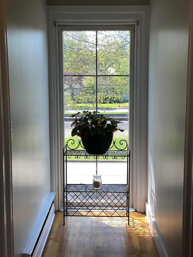 227 Railroad St, Chelsea, MI 48118 - doorway to outside featuring a baseboard radiator, wood finished floors, and healthy amount of natural light