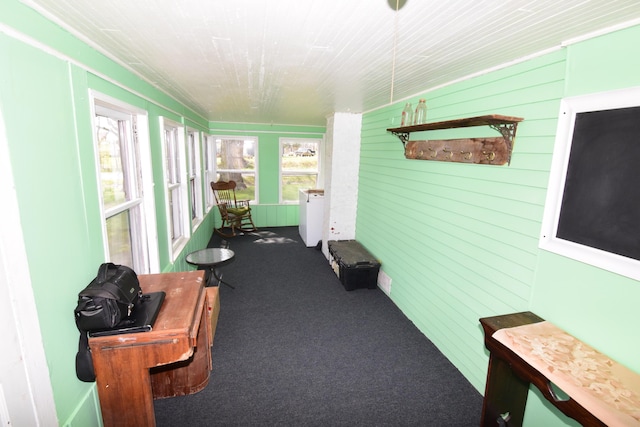sunroom featuring carpet flooring
