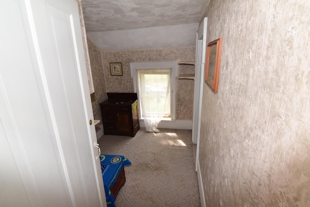 hallway featuring carpet flooring