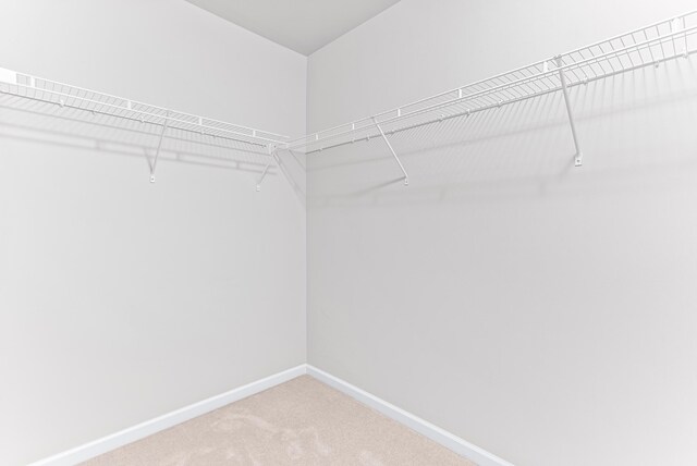 spacious closet with carpet