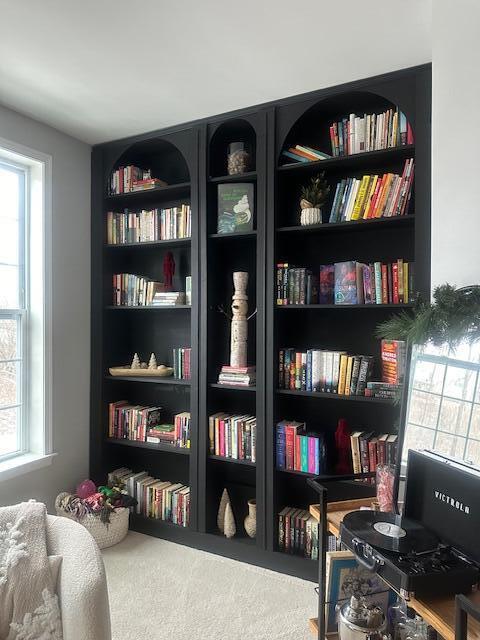 sitting room with carpet flooring, a healthy amount of sunlight, and wall of books
