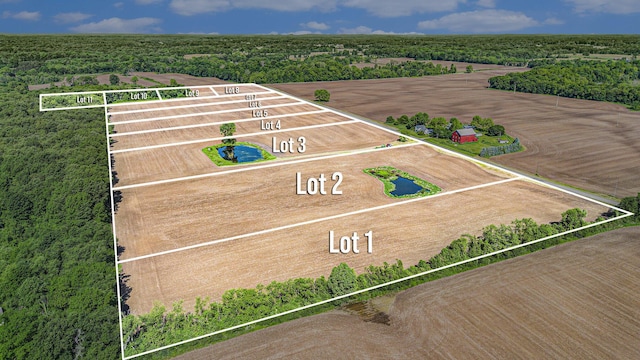 LOT11 Broceus School Rd, Buchanan, MI 49107