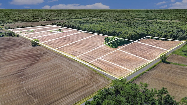 LOT11 Broceus School Rd, Buchanan, MI 49107