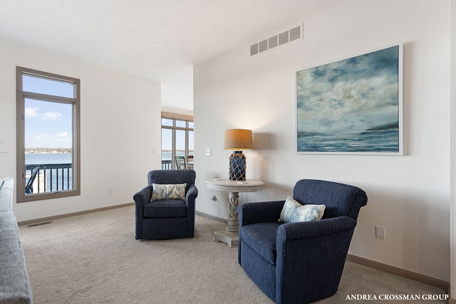 1761 S Shore Dr, Holland, MI 49423 - sitting room with carpet floors, baseboards, and visible vents