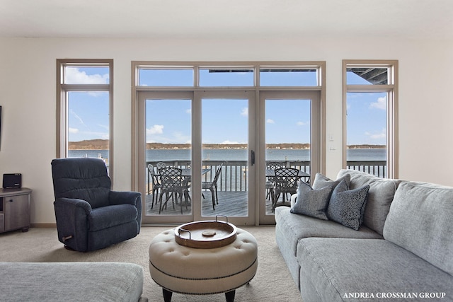 1761 S Shore Dr, Holland, MI 49423 - living area featuring a water view, a healthy amount of sunlight, and light carpet