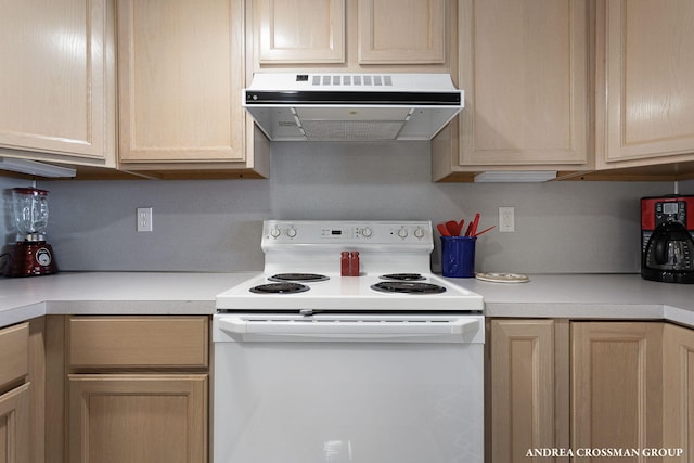 1761 S Shore Dr, Holland, MI 49423 - kitchen featuring light countertops, electric range, under cabinet range hood, and light brown cabinetry
