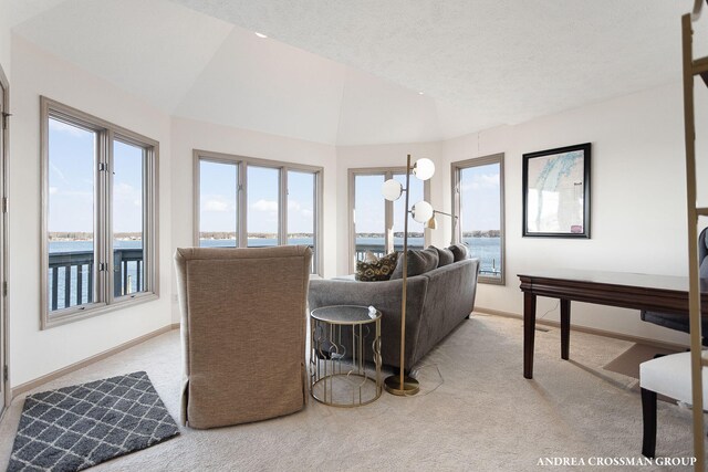 1761 S Shore Dr, Holland, MI 49423 - carpeted living room featuring baseboards and vaulted ceiling