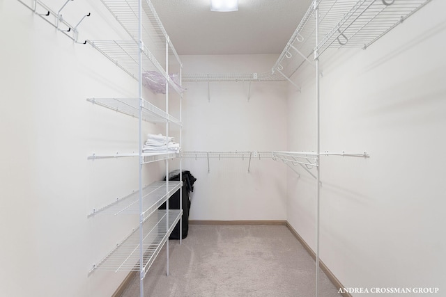 1761 S Shore Dr, Holland, MI 49423 - spacious closet with carpet floors