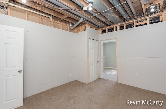 unfinished below grade area with carpet floors