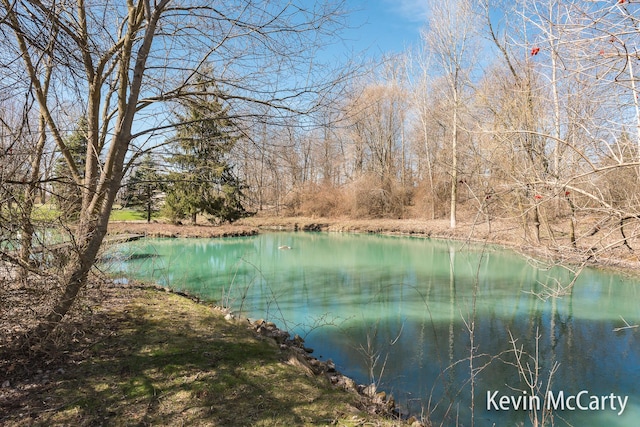 property view of water