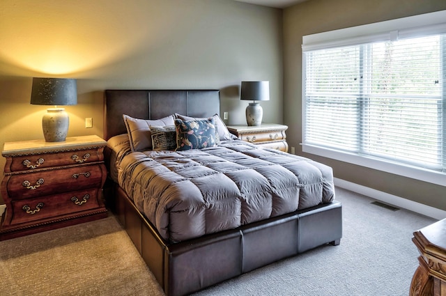 4274 Evergreen Rd Unit 14, Adrian, MI 49221 - bedroom featuring baseboards, visible vents, and carpet floors