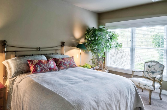 4274 Evergreen Rd Unit 14, Adrian, MI 49221 - view of carpeted bedroom