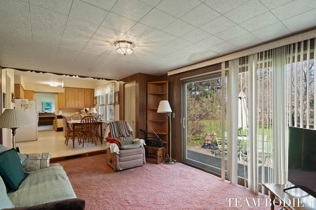 living area with light carpet