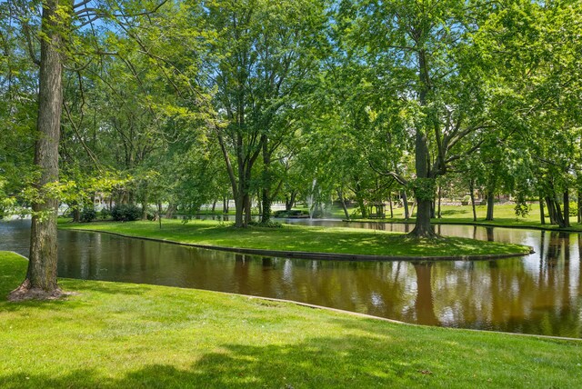 6130 Eidson Rd, Saint Joseph, MI 49085 - view of property's community with a water view and a yard